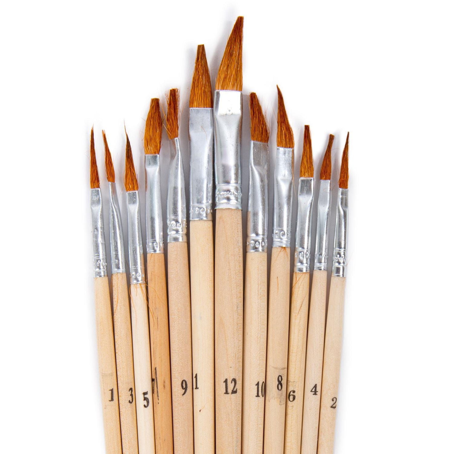 Time 4 Crafts 12-Piece Assorted Artist Paint Brushes