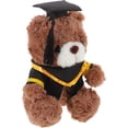thumbnail image 2 of Oso de peluche de graduación, osito de peluche con birrete, regalo de graduación, 2 of 7
