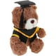 thumbnail image 2 of Oso de peluche de graduación, osito de peluche con birrete, regalo de graduación, 2 of 7