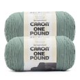 thumbnail image 1 of Hilo Caron ONE POUND Hosta 100% Acrílico 812 Yardas 453 g, 1 of 4