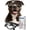 Large, variant on Goggles for Medium to Large Breeds, Anti-UV Windproof Sunglasses with Adjustable Straps, Anti-Fog Ventilated Stylish Eyewear for Outdoor Adventures, L