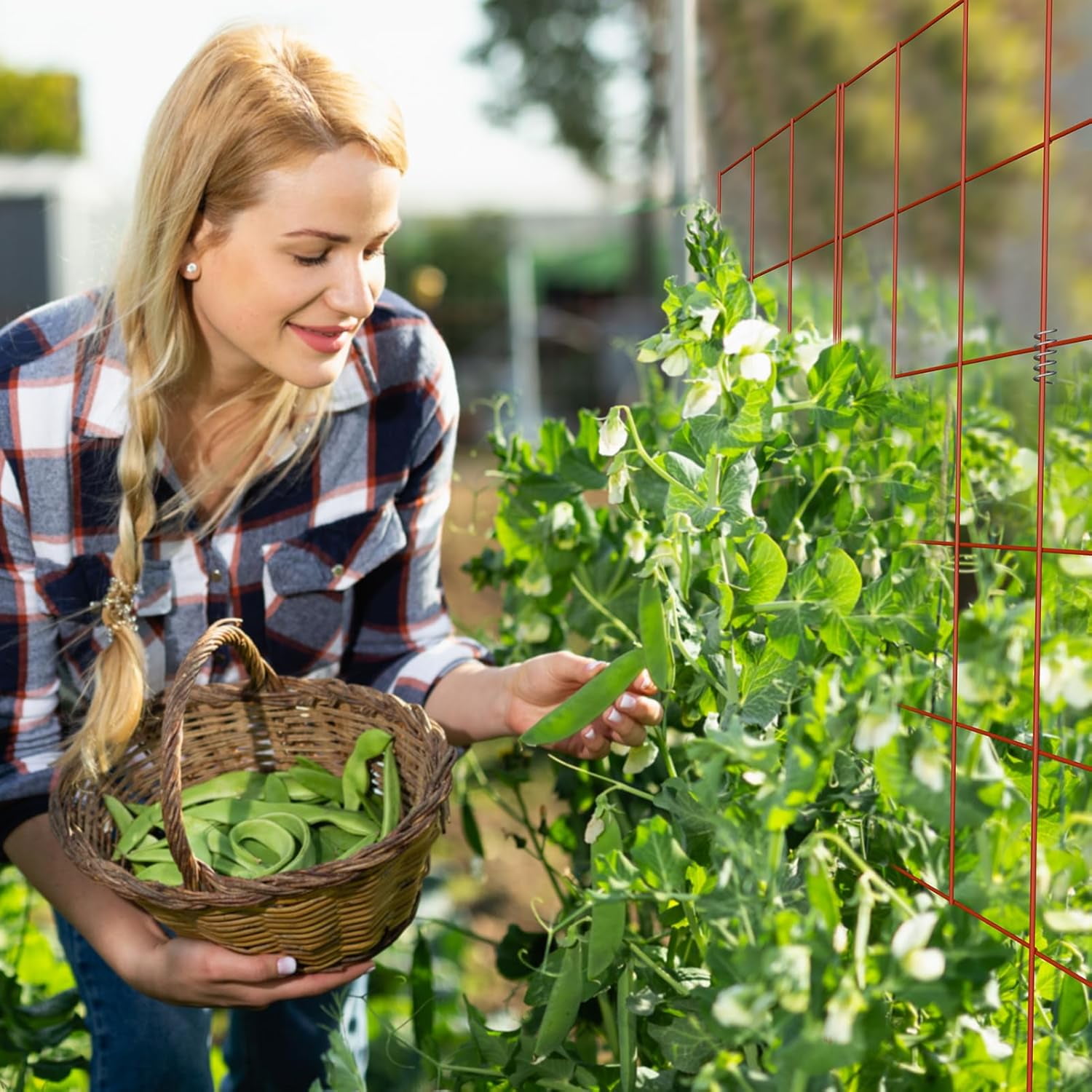Cucumber Trellis, 48" High Foldable A Frame Garden Trellis, 2 Pack, Plant Support for Climbing Cucumber, Beans, Tomatoes, Flowers, Red