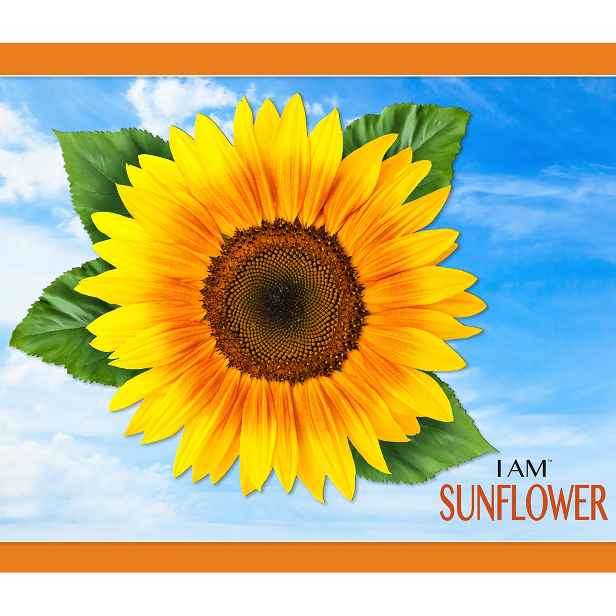 Madd Capp 350-Piece I Am Sunflower Floral Shaped Jigsaw Puzzle