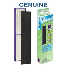 Replacement Filter For HSP003 Air Purifier - 2-in-1 Main & Activated Carbon Filters, Pack Of 2