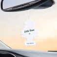 thumbnail image 4 of Assainisseur d'air LITTLE TREES True North 6-Pack, 4 of 8