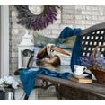 thumbnail image 4 of Pelican Throw Pillow 18 in x 18 in, 4 of 5