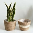 thumbnail image 3 of XIEULQP 2 Pcs Large Premium Seagrass Planter Basket with Plastic Lining Natural Stylish Planter Baskets Indoor Outdoor Plants Woven Wicker Baskets for Plants Flower Pots Cover & Room Decor 5x6x7 in, 3 of 6