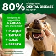 thumbnail image 3 of Greenies Veterinarian-Recommended Adult Natural Dental Dog Treats Regular Size, Dog Dental Chews, Original Flavor, 36 oz. Pack, 36 Count, 3 of 4
