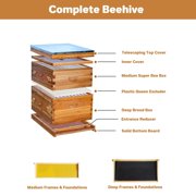 10 Frame Complete Beehive Kit for Beginners, Wax Coated Langstroth Hive Includes Deep & Medium Boxes with Acrylic Window Frames & Foundation – Beekeeping Starter Set