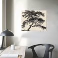 thumbnail image 4 of ONETECH Canvas Wall Art Vintage Print Paintings Pine Tree Branch Landscape Nature Rustic Neutral Retro Aesthetic Artwork for Home Living Room Bedroom Bathroom Wall Decor  20x16in, 4 of 6
