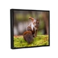 thumbnail image 4 of Stupell Industries Squirrel on Mossy Log Animals & Insects Photography Black Floater Framed Canvas Art Print Wall Art, 31 x 25, 4 of 10