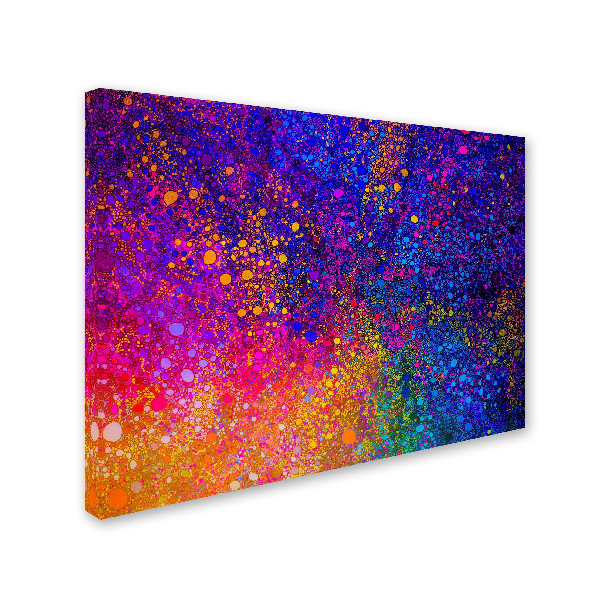 Trademark Fine Art 'Surreal Sunrise' Canvas Art by MusicDreamerArt