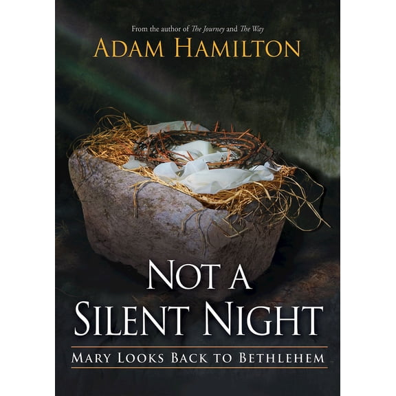Pre-Owned Not a Silent Night: Mary Looks Back to Bethlehem (Paperback) 150187957X 9781501879579