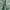 Green, variant on Seasonwood Boho Fabric Shower Curtain Green Striped Polyester Bathroom Shower Curtains with 12 pcs Hooks,72" x 72"