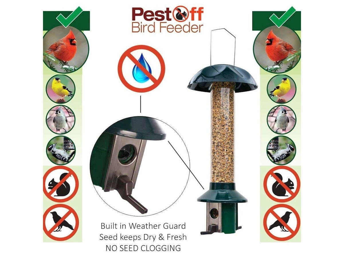 Roamwild Squirrel Proof Wild Bird Feeder Mixed Seed Sunflower Heart
