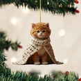 thumbnail image 3 of Hangs2 2D Acrylic Cat Themed Rearview Ornament And Keychain For Indoor And Holiday Use, 3 of 5