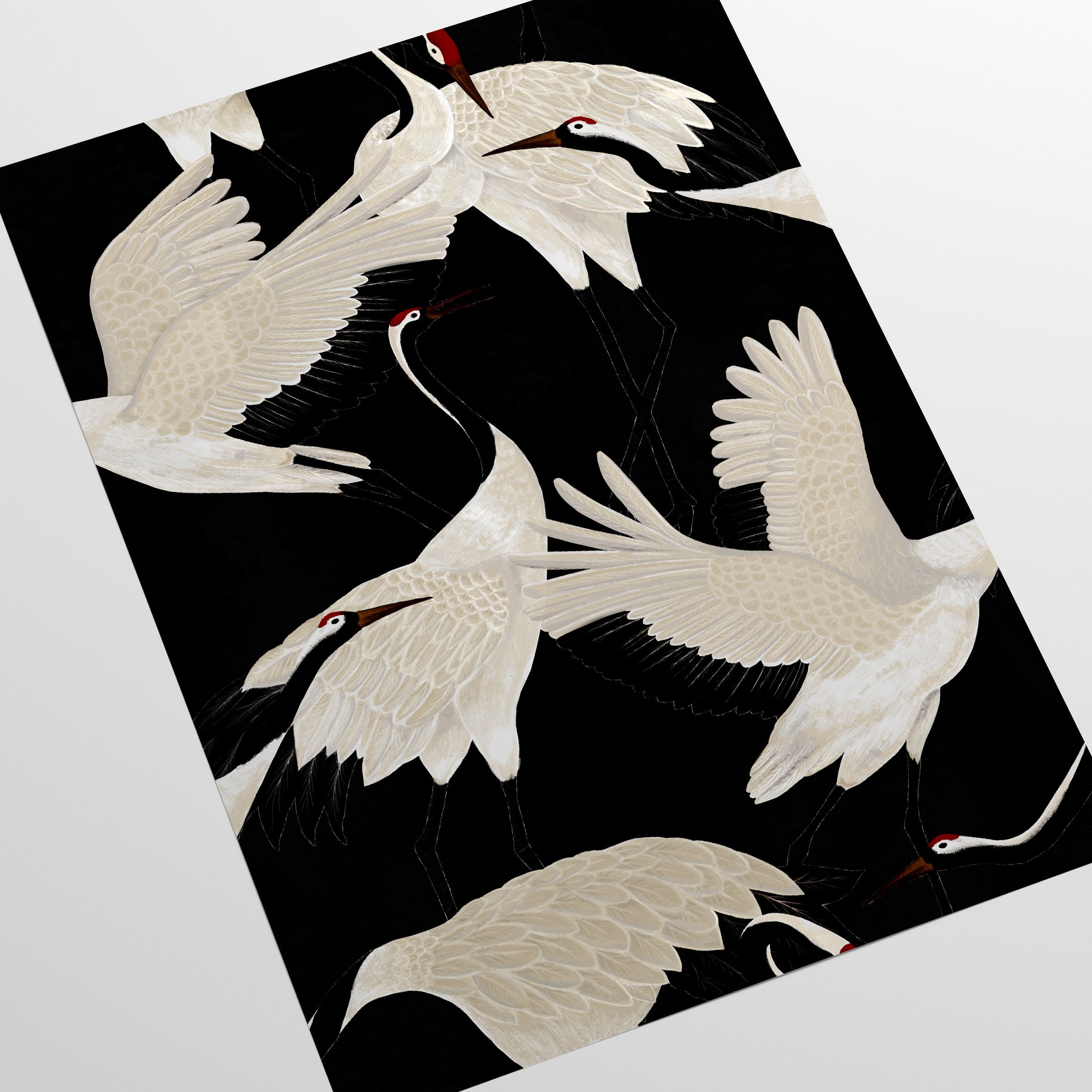 Black Herons Wallpaper