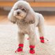 thumbnail image 2 of 4 Uds. De zapatos para perros, impermeables, antideslizantes, botas de lluvia, calcetines, cubierta para pies de gato (2) Likrtyny Para estrenar, 2 of 9
