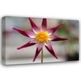 thumbnail image 1 of Dana Styber 32x23 Gallery Wrapped Canvas Wall Art Titled - Stardust II, 1 of 4