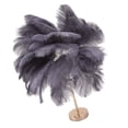 thumbnail image 1 of Feather Table Lamp, Touch Switch Dimmable Modern Ostrich Feather Lamp with 3 Color Temp & USB Port, Elegant Romantic Decorative Bedside Table Lamp for Bedroom, Living Room, Wedding, 1 of 8