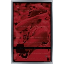 Michael Jordan - Achievements Wall Poster, 14.725" x 22.375", Framed