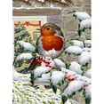 thumbnail image 1 of Carolines Treasures ASA2089GF European Robin At The Window Flag Garden Size, 1 of 3