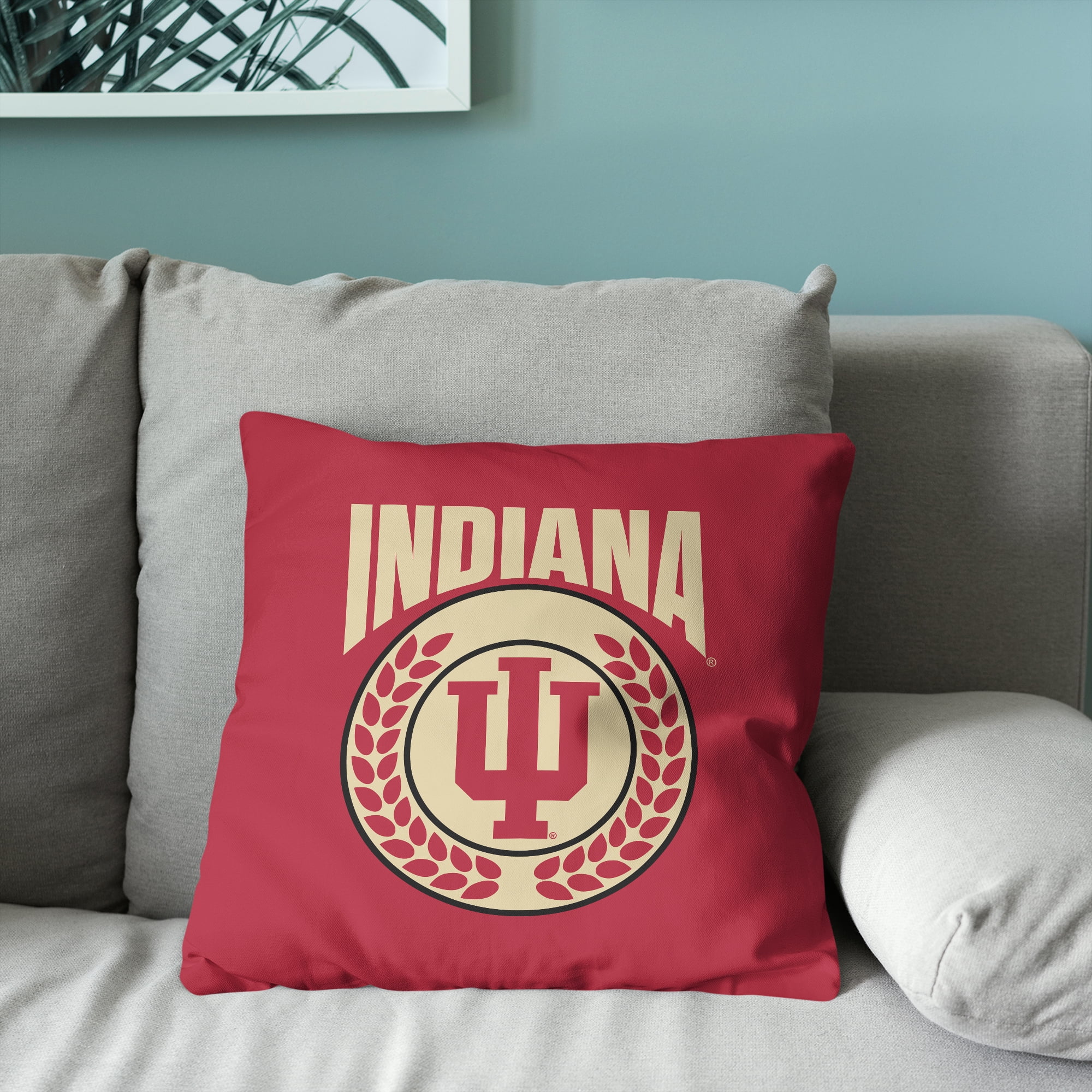Indiana NCAA Triumph Square Cloud Pillow 24 inches