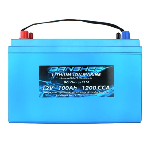 WEIZE 12V 100Ah Mini LiFePO4 Lithium Battery, Built-in 100A Smart BMS