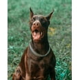 thumbnail image 4 of GHSDFBB Silver Dog Chain Collar Stainless Steel Silver Dog Collar Adjustable Walking, Metal Cuban Link Dog Collar Chew Proof Double Row Chain Dog Collar for Large Small Medium Dogs, 4 of 7