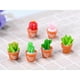 thumbnail image 3 of 6Pcs Pntas s Artificiales Selecciones s Tab Sunnimix Plantas suculentas artificiales, 3 of 8