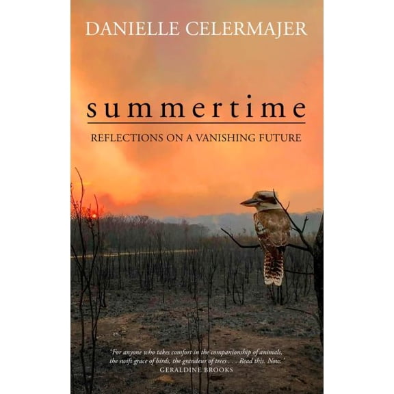 Summertime : Reflections on a vanishing future (Paperback)