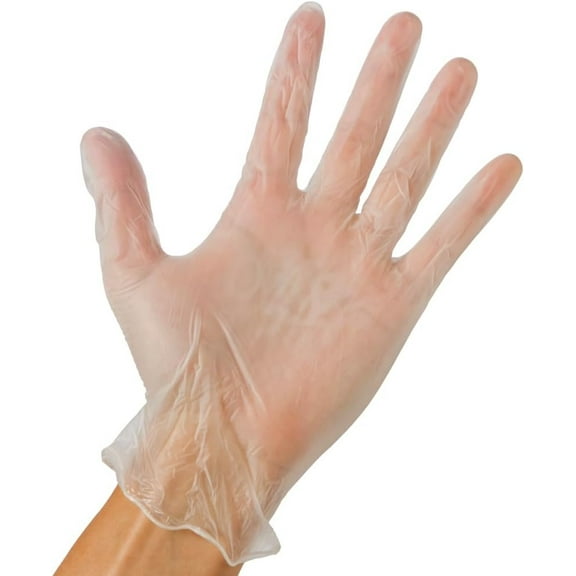 Soft Scrub Disposable Vinyl Gloves - Clear, 100 Count