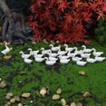 thumbnail image 3 of Modèles de Canards 26 Pcs Décoratifs Anti-Décoloration Compacts Haute Simulation Ornements de Canards Décor, 3 of 5