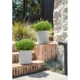 thumbnail image 5 of Veradek Demi Series  12" Plastic-Stone Planter - 2-Pack White, 5 of 10