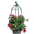 thumbnail image 3 of El diámetro y la altura del soporte de clemátide rosa el molino de viento el ratán y el soporte de flor de  europea son ajustables a 170 cm de color verde  en cuenta ANGGREK Otros, 3 of 8