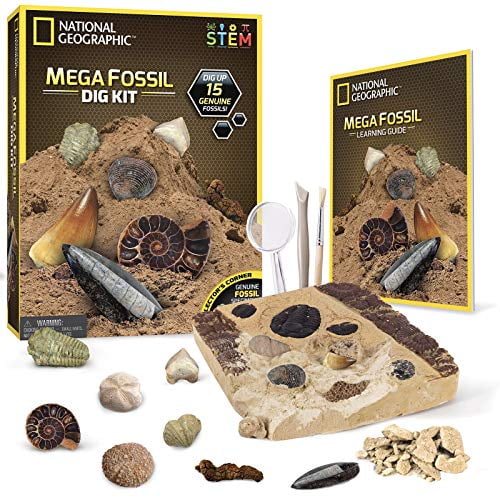 Mega Fossil Dig Kit 15 Pcs National Geographic Dinosaur Bones Shark Teeth Tools 