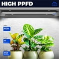 thumbnail image 4 of T5 Grow Lights for Indoor Plants, 2FT 5000K Full Spectrum LED Grow Light with Black Cover, T5 Grow Light Strip, Under Cabinet Plant Light with Switch Cord, Linkable, Plug and Play, 4 Packs, 4 of 6