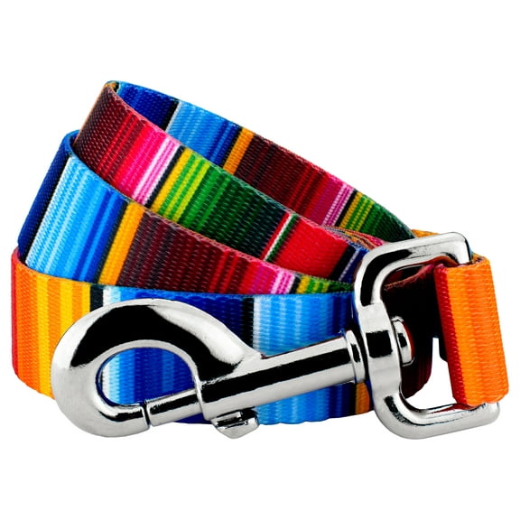 Country Brook Petz® 1/2 inch Serape Dog Leash, 6 Foot