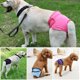 thumbnail image 5 of Ropa interior para perros, algodón suave y cómodo para mujeres, pantalones higiénicos para mascotas, pantalones fisiológicos para cachorros, pañales para perros (Negro S), 5 of 5