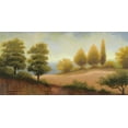 thumbnail image 2 of Marcon, Michael 24x14 White Modern Wood Framed Museum Art Print Titled - September Countryside, 2 of 4