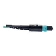 thumbnail image 3 of Tripp Lite 2M MTP/MPO 40GbE OM3 Plenum-Rated Fan-Out Cable - Aqua, 3 of 3