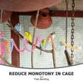 thumbnail image 3 of YSNOOWE 2Ud Percha Y De Cuerda Flexible Para Jaula De Loro Multicolor Con Giratorio, 3 of 8