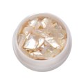 thumbnail image 3 of dianhelloya Nail Art Shell Irregular Abalone Sequins DIY Nail Design Accessories 3D Nail Manicure Craft Ornaments Champagne, 3 of 8