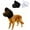 Black, variant on Dog Face Cover, Dog Head Hood Foxtail Protection Breathable Mesh with Adjustable Buckle, Lightweight Pet Headwear Guard for Outdoor Walking Camping Hiking Travel.