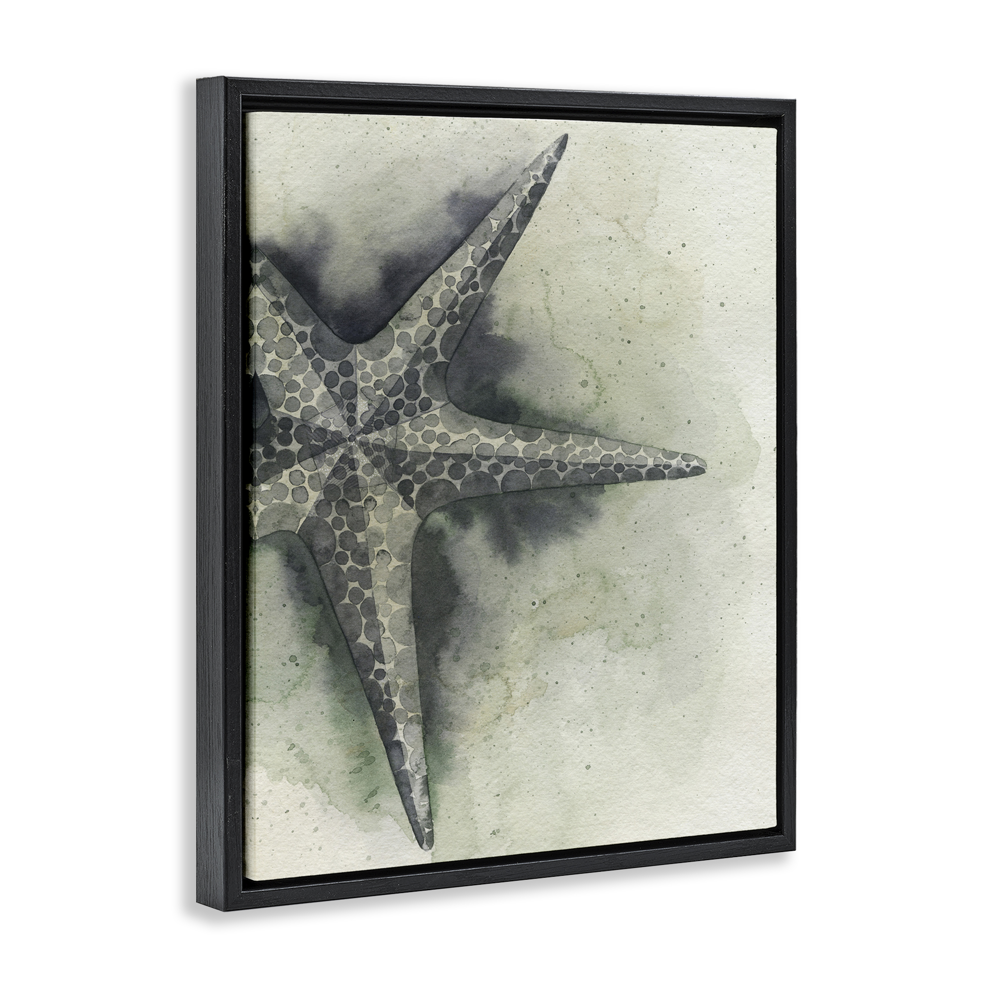 Stupell Industries Complex Grey Starfish Animals & Insects Painting Black Floater Framed Canvas Art Print Wall Art, 25 x 31