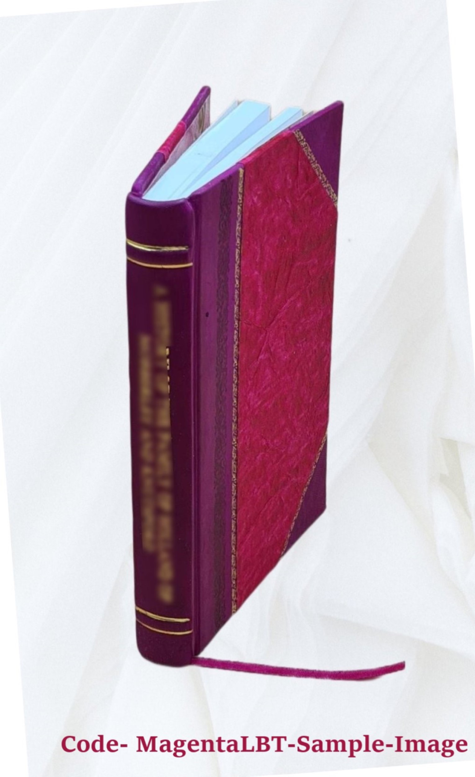 Literatur der Todtentänze. Beytrag zum Jubeljahre der Buchdruckerkunst. 1840 [Leather Bound] - image 5 of 5