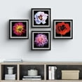 thumbnail image 3 of PixonSign Framed Wall Art Collage Print Gallery Set Rose & Chrysanthemum Flowers Nature Floral Photography Rustic Botanical CloseUp Multicolor for Living Room, Bedroom, Office - 12"x12"x4 BLACK, 3 of 6