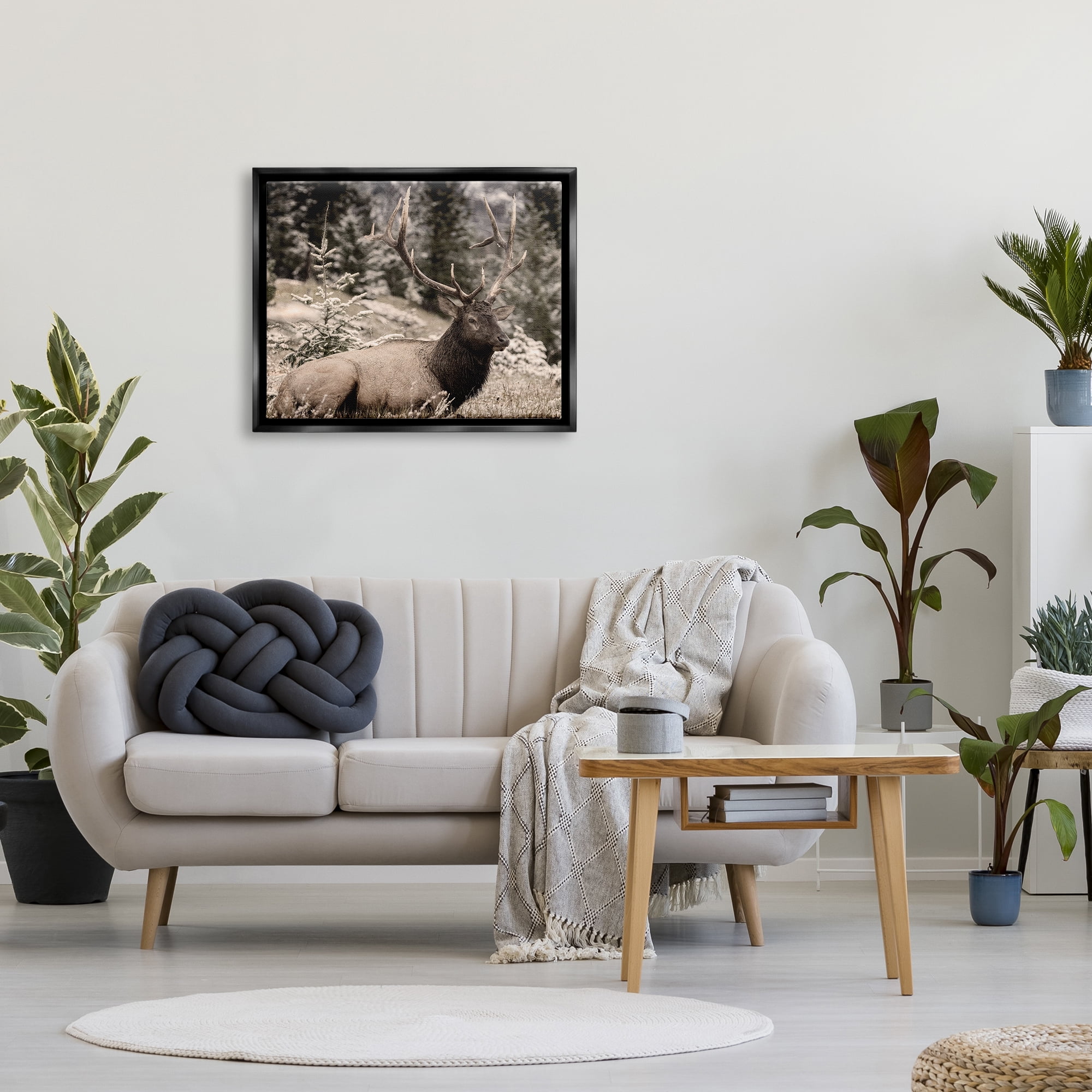 Stupell Industries Elk in Nature Photography Animals & Insects Photography Black Floater Framed Canvas Art Print Wall Art, 31 x 25