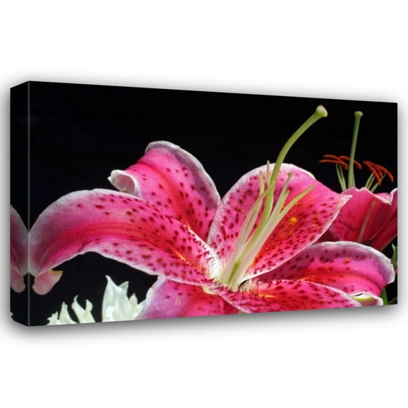 Tammy Putman 18x13 Gallery Wrapped Canvas Wall Art Titled - Pink Lily