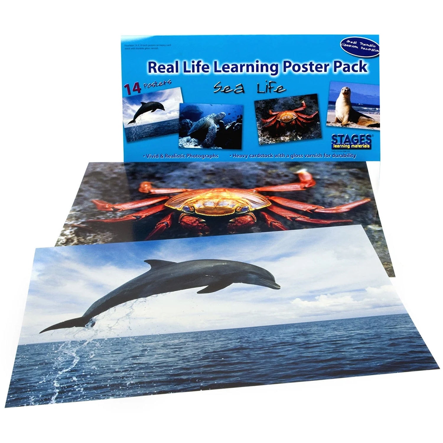 Stages Learning Materials Sea Life Poster Set, Set of 14